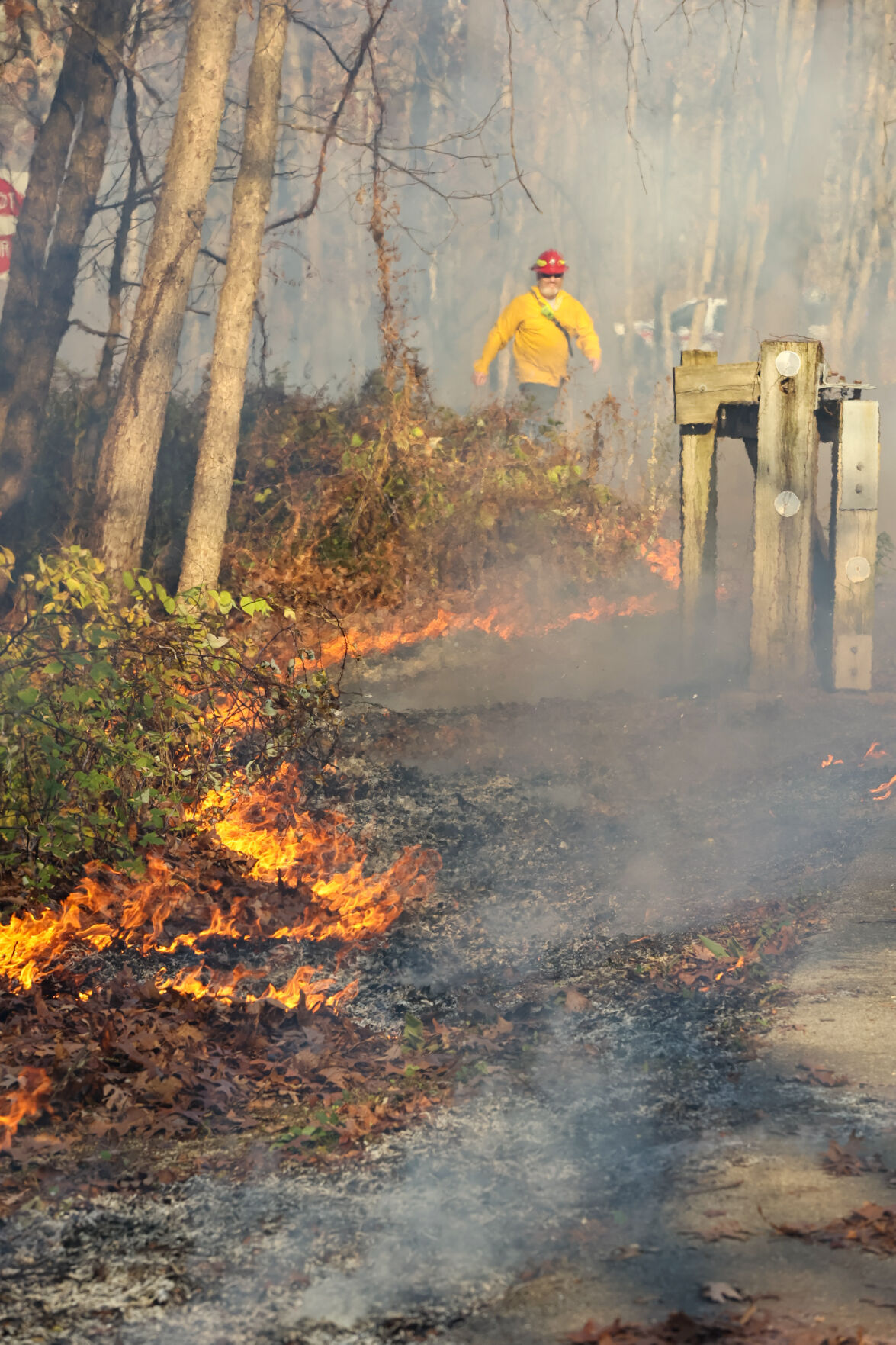 National Park Services Great Lake Fire Management Zone burn